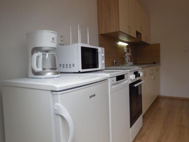 Apartman Kamenice Kamenice nad Lipou Exterior photo